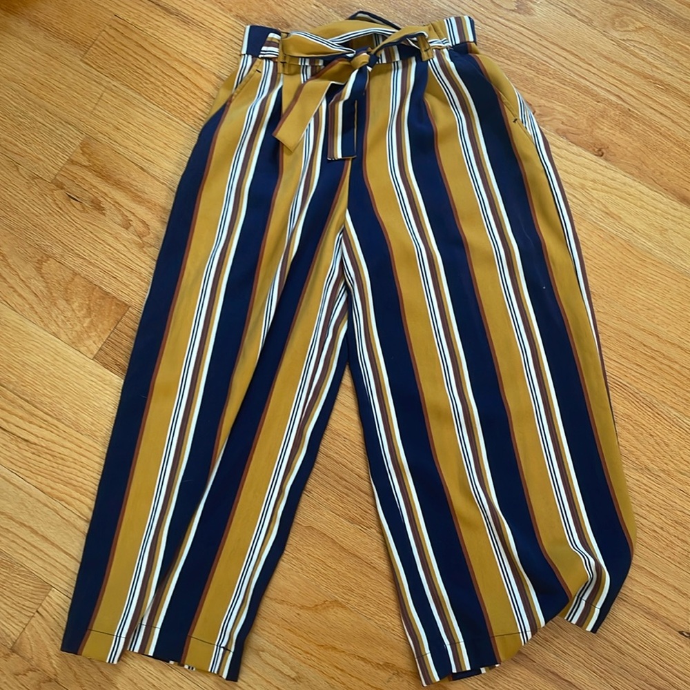 Zara striped pants